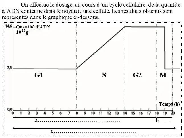 Nature de l’information génétique