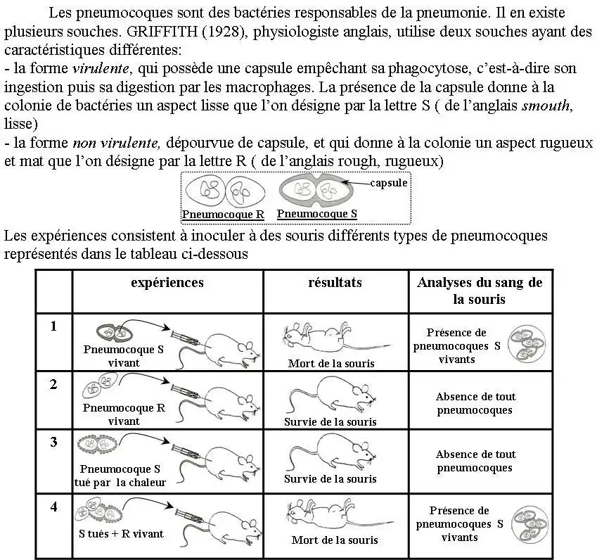 Nature de l’information génétique