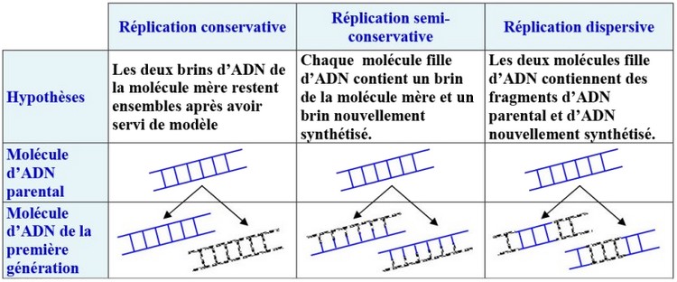 Nature de l’information génétique