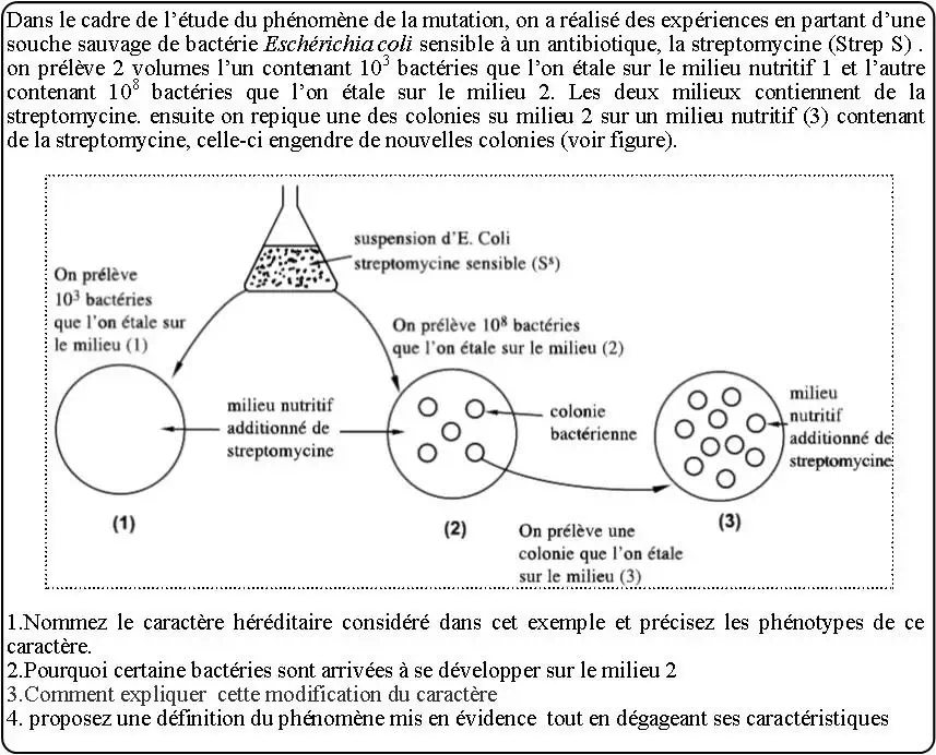 Expression de l’information génétique