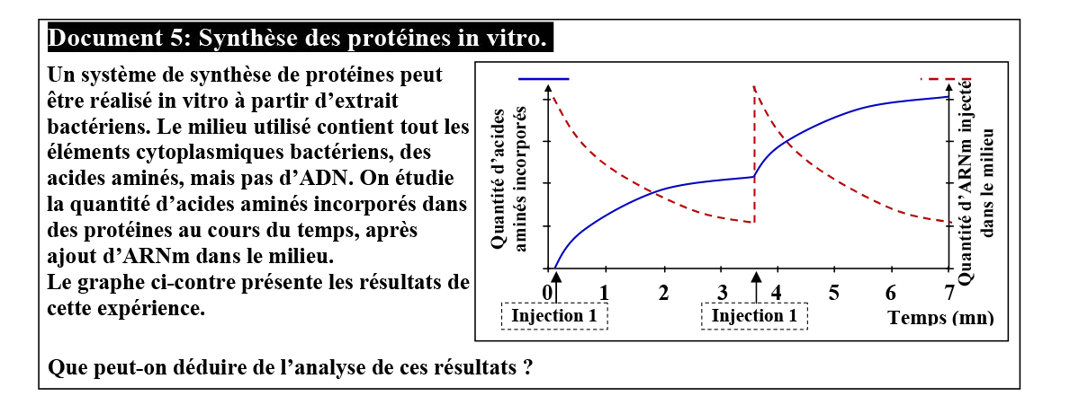 Expression de l’information génétique