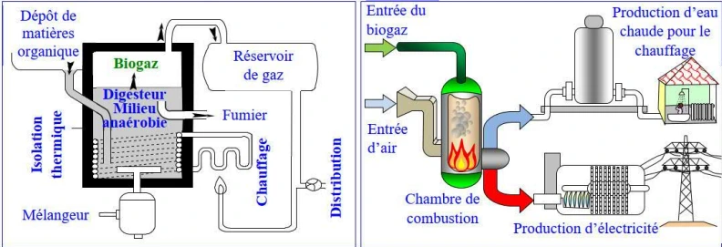 Les déchets ménagers issus de l'utilisation des matières organiques et inorganiques