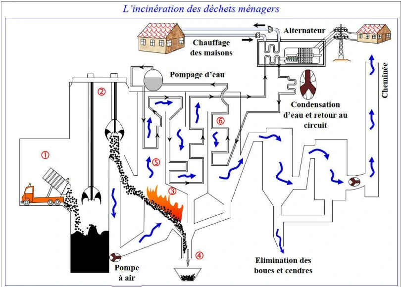 Les déchets ménagers issus de l'utilisation des matières organiques et inorganiques